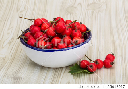 Hawthorn 13012917