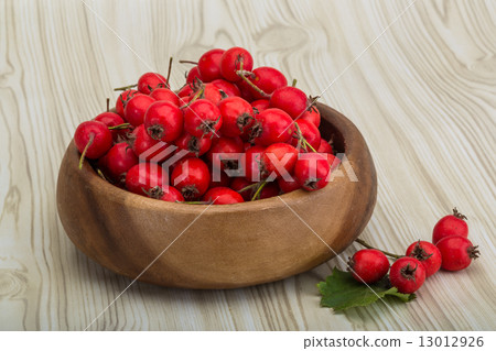 Hawthorn Hawthorn 13012926