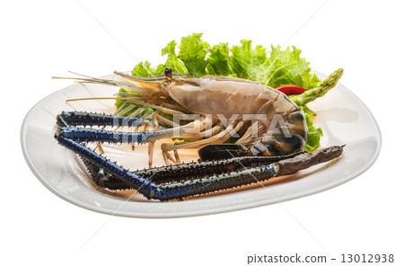 圖庫照片: freshwater prawn