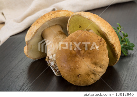 Boletus mushroom 13012940
