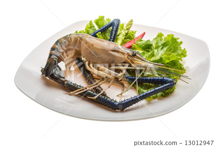 Freshwater prawn 13012947