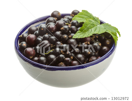 Black currant Black currant 13012972