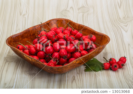 Hawthorn Hawthorn 13013068