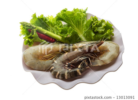 King and waterleg shrimps King and waterleg shrimps 13013091