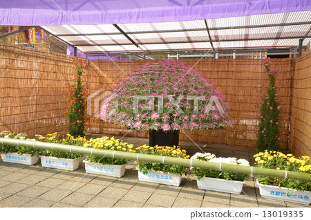 Haka City的Takahata Fudobankiku Festival 13019335