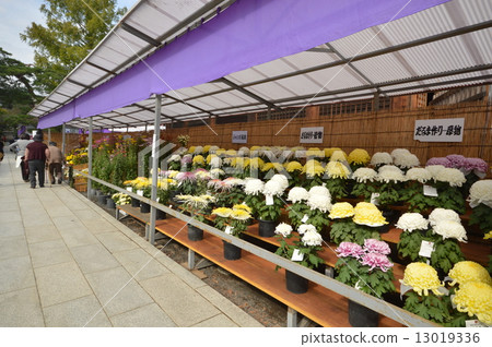 Haka City的Takahata Fudobankiku Festival 13019336