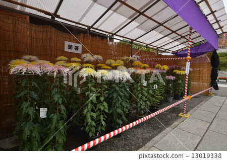 Haka City的Takahata Fudobankiku Festival 13019338