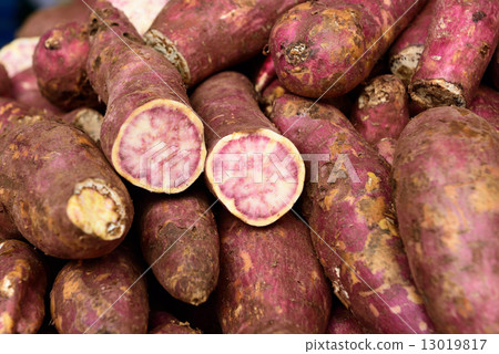 Sweet potatoes Sweet potatoes 13019817