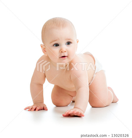 cheerful crawling baby isolated on white background 13020326