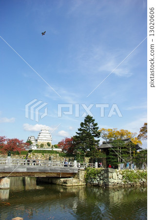 姬路城秋葉在秋天2014年 13020606
