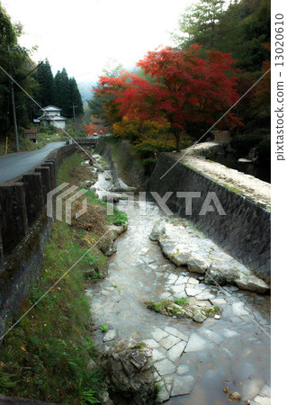 高橋市Nakasu秋葉在秋天2014年停放 13020610
