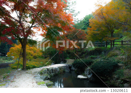 高橋市Nakasu秋葉在秋天2014年停放 13020611