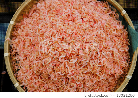 Shrimp prawn shrimp prawns Shrimp prawn shrimp prawns 13021296