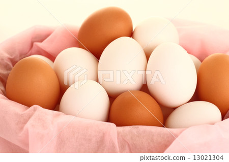 Egg 13021304