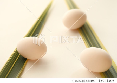Egg 13021306