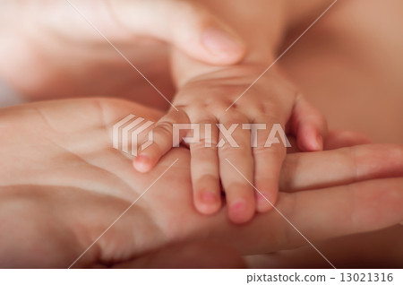 Small baby hand in mother's hands closeup 13021316