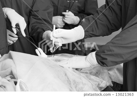 Surgery 13021363