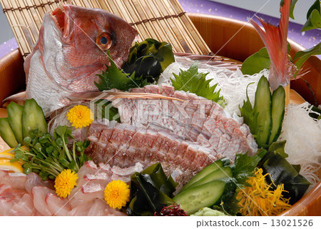  Red snapper 13021526