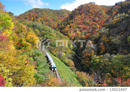 跑下秋天的山ri 跑下秋天的山ri 13021847