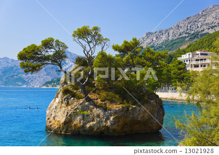 Island and trees in Brela, Croatia 13021928