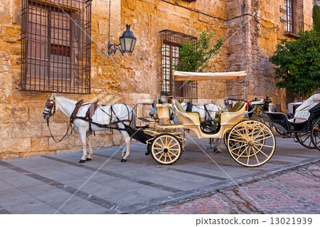 Traditional Horse and Cart at Cordoba Spain Traditional Horse and Cart at Cordoba Spain 13021939