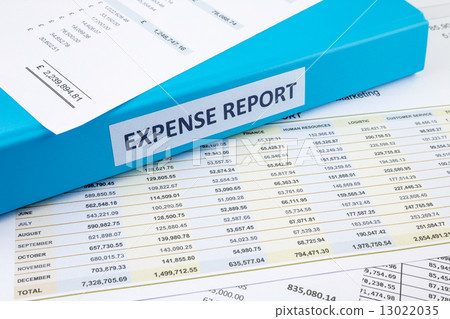 Business expense report with binder Business expense report with binder 13022035