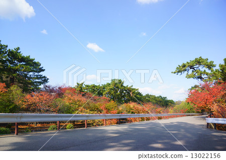 A promenade 13022156