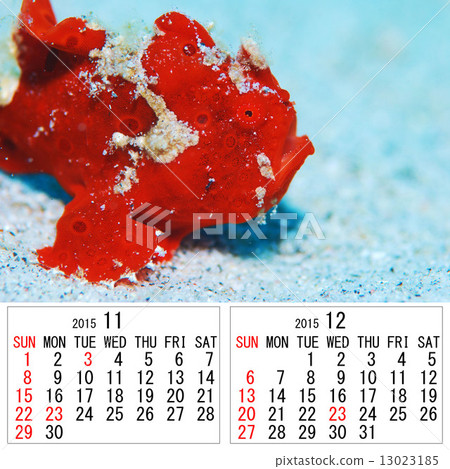 15 Calendar November December Stock Illustration