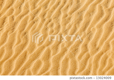 Sand texture 13024009