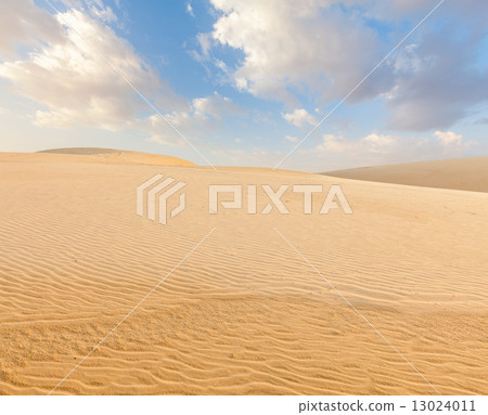 White sand dunes on sunrise, Mui Ne, Vietnam 13024011