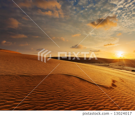 White sand dunes on sunrise, Mui Ne, Vietnam 13024017