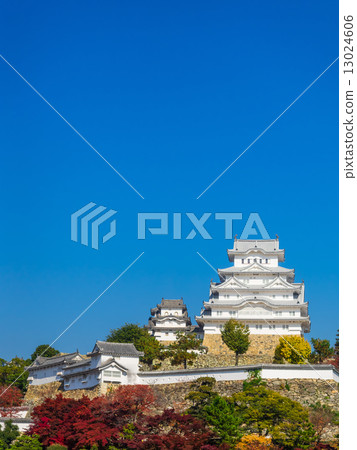 姬路城堡在秋天 13024606