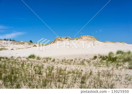 Dunes in Slowinski national park. Leba, Poland 13025930