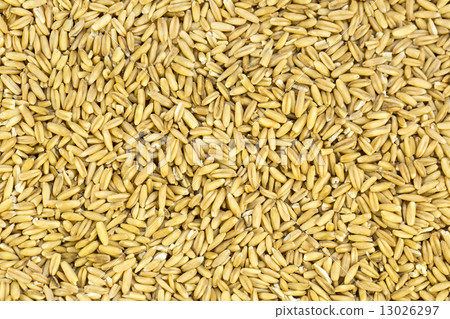 background from buckwheat seeds background from buckwheat seeds 13026297