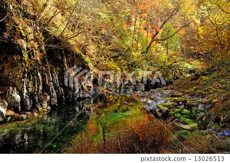Kinshu 13026513