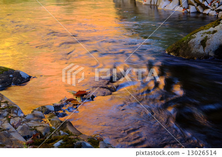 The glow of the water surface 13026514