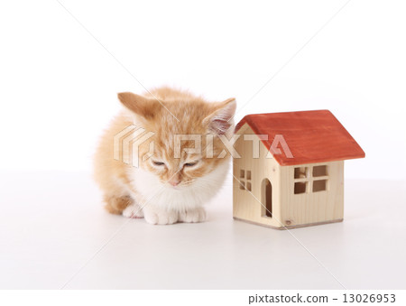 What should I do···· 13026953