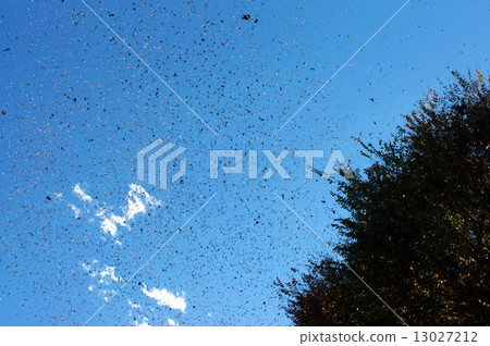 寒冷的寒風 13027212