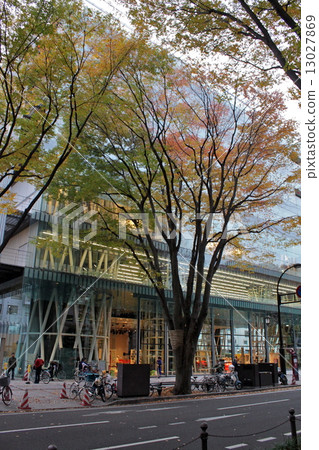 媒體採取的秋天 13027869