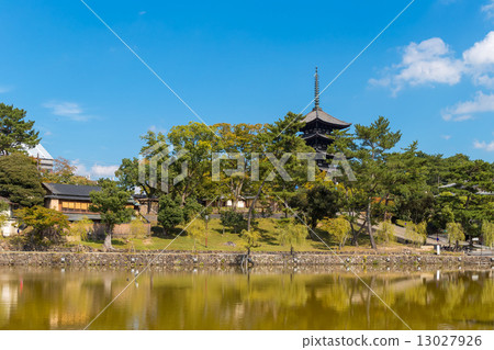 Sarusawa池塘和五層寶塔 Sarusawa池塘和五層寶塔 13027926