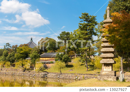 Sarusawa池塘 13027927