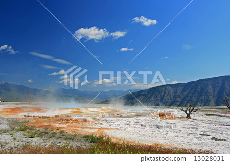 Canary Spring landscape in Yellowstone Canary Spring landscape in Yellowstone 13028031