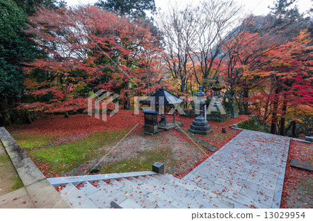 Late autumn Mt. 13029954