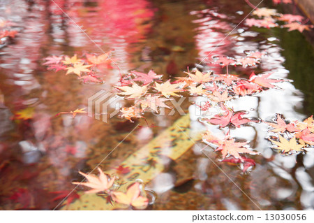Kamiyama Temple 13030056
