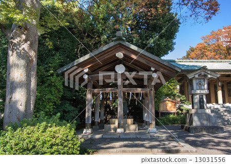 Togo Shrine Togo Shrine 13031556