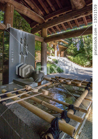 Togo Shrine Togo Shrine 13031559