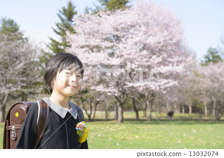 一年級學生和櫻花 一年級學生和櫻花 13032074