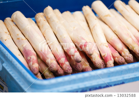 asparagus at a market asparagus at a market 13032588