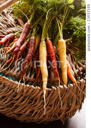 fresh carrots 13032589