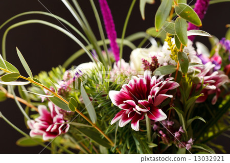 nice flowers 13032921